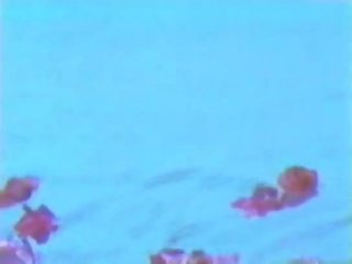 كارين تايلور - الآنسة. يونيو 1996