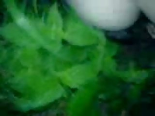 Ines पर बेल्जियन पार्टी