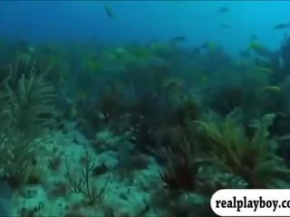 आमंत्रित playmates spear fishing में टॉपलेस और दर्शन the crocs